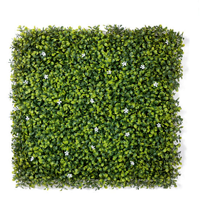 Green Wall 3600 D