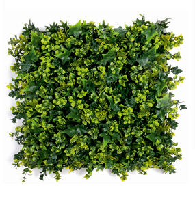 green wall 3600 B